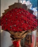 fresh-230-red-roses-bouquet-with-babys-breath