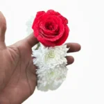 red-rose-white-chrysanthemum-gajra-fresh-flower-order-faisalabad