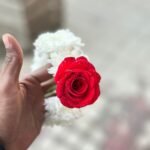 red-rose-white-chrysanthemum-gajra-fresh-flower-order-faisalabad
