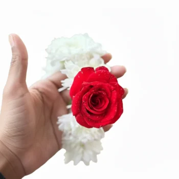 One Red Rose & White Craze Flower Gajra – Simple, Fresh & Elegant Hand Gajra