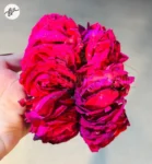 wedding-red-roses-gajray-bride-accessory-faisalabad