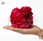 wedding-red-roses-gajray-bride-accessory-faisalabad